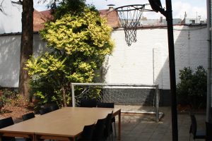 basket basket